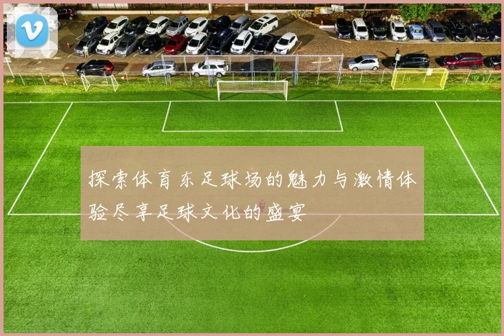 探索体育东足球场的魅力与激情体验尽享足球文化的盛宴