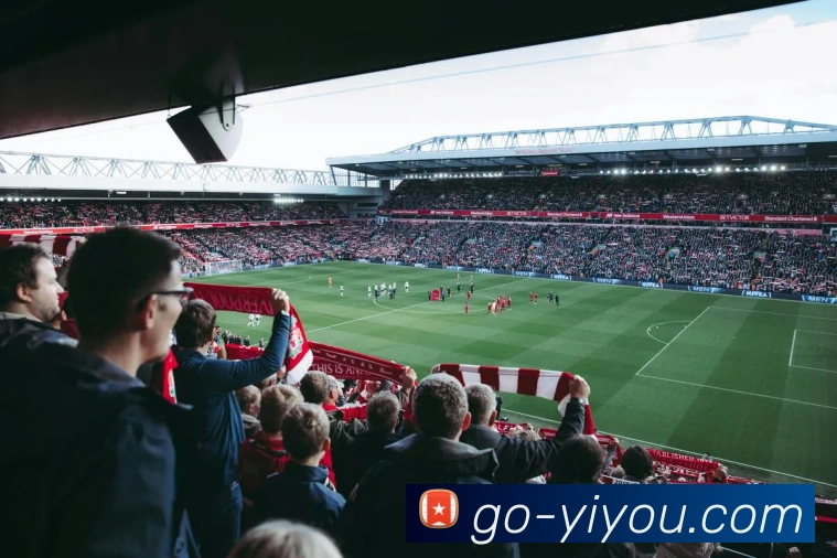 多媒体互动体验